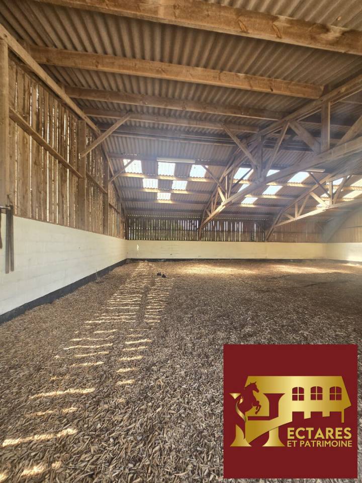 Centro di stagione cavallo In vendita Orne