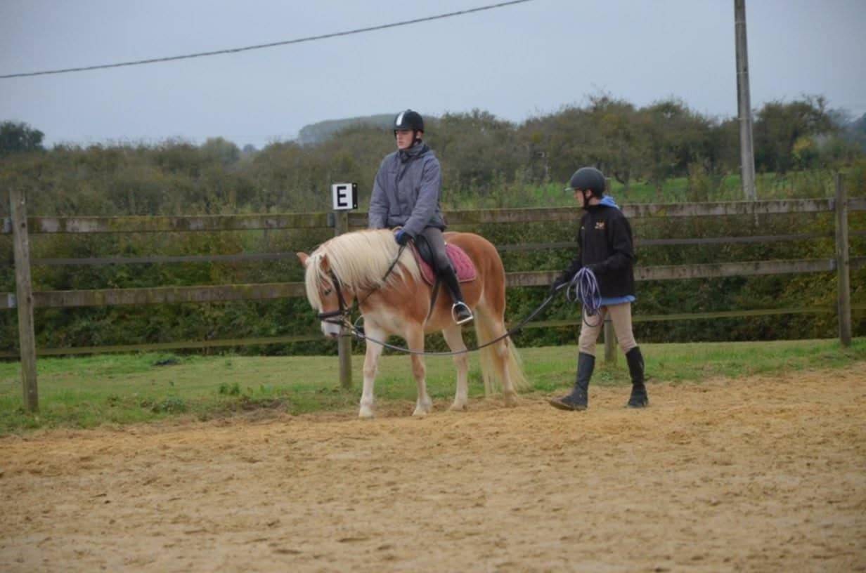 Cavalla Haflinger In vendita 2012 Sauro ,  liz Alcantara