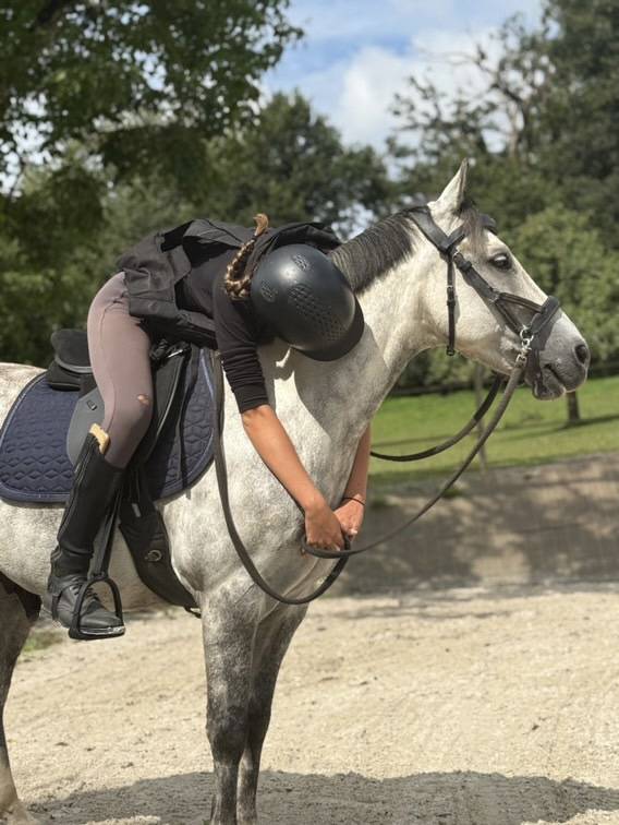 Castrone PFS Pony Francese da Sella In vendita 2016 Grigio ,  Golden hero 2