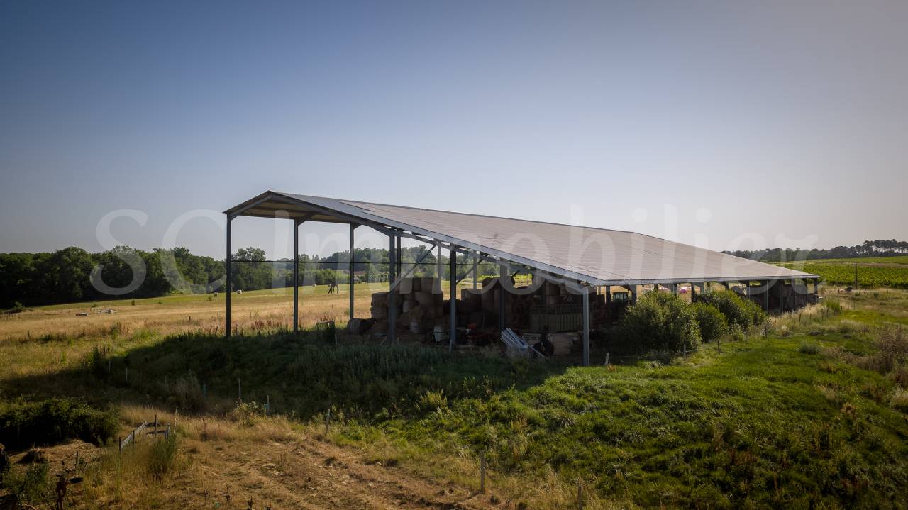 Azienda agricola In vendita Gironde