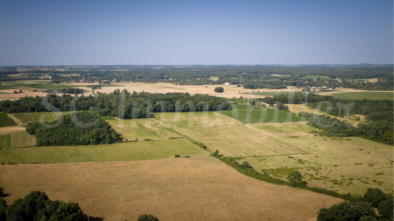 Azienda agricola In vendita Gironde