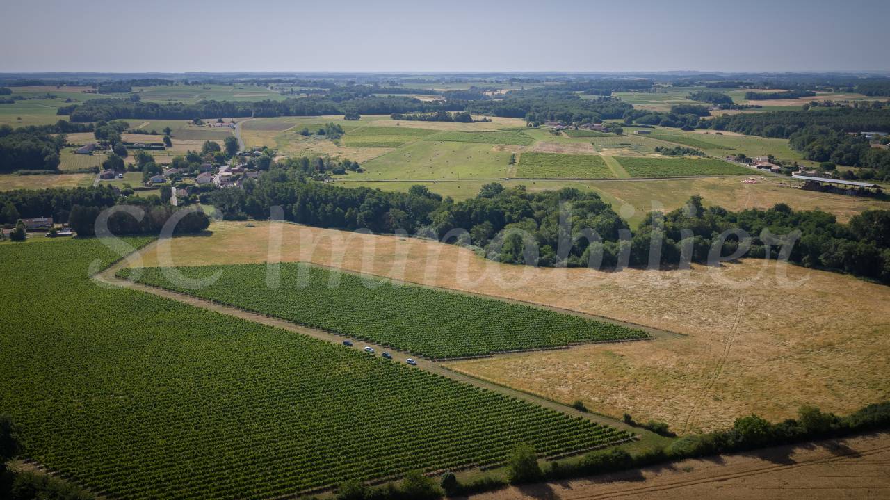Azienda agricola In vendita Gironde