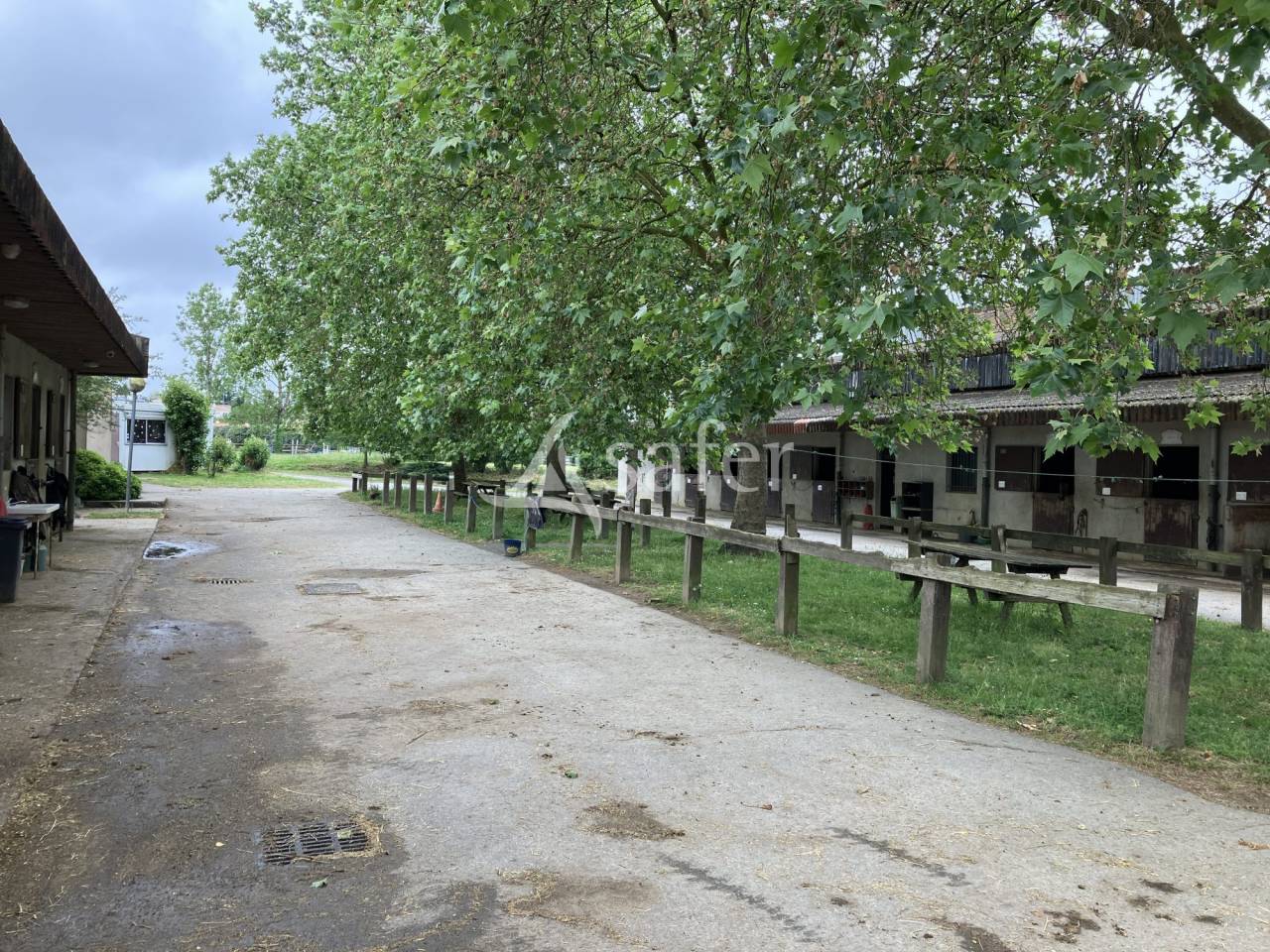 Azienda agricola In vendita Vend&eacute;e