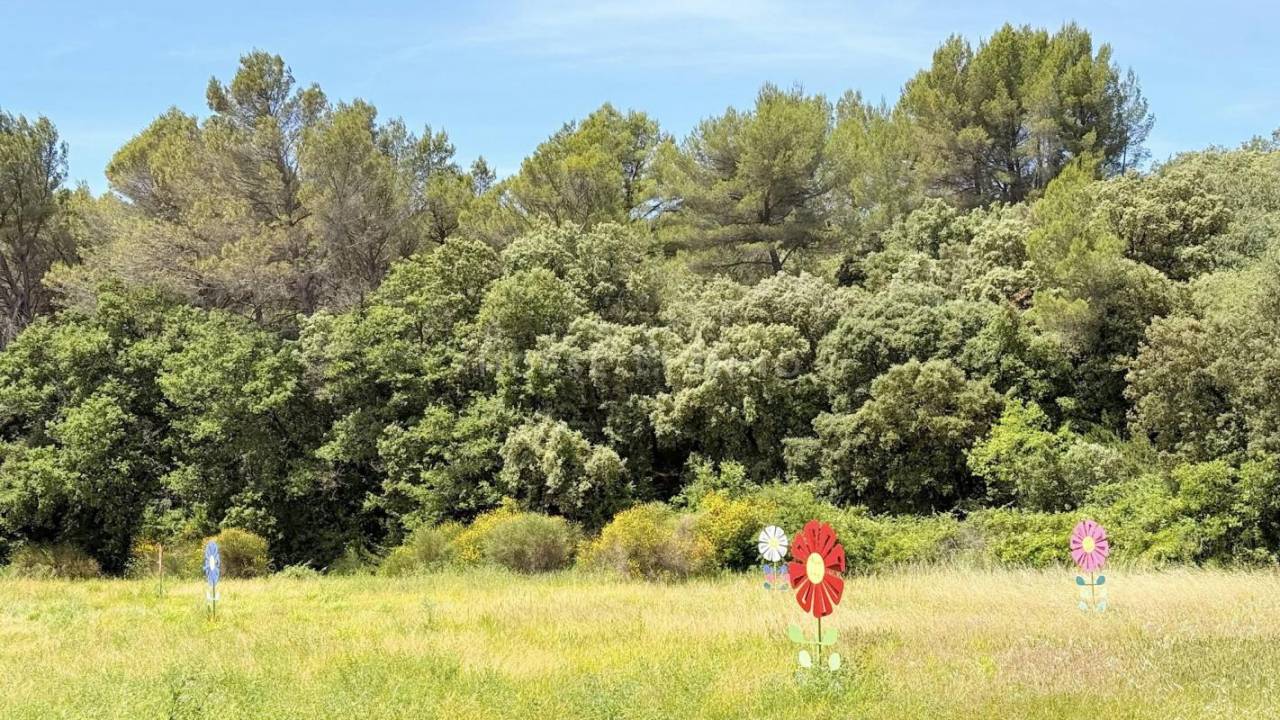 Propriet&agrave; equestre In vendita Vaucluse