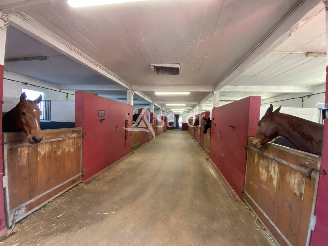 Propriet&agrave; equestre In vendita Calvados