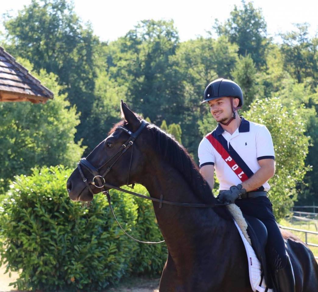 Castrone Hanovrien In vendita 2022 Nero ,  GLAMOURDALE