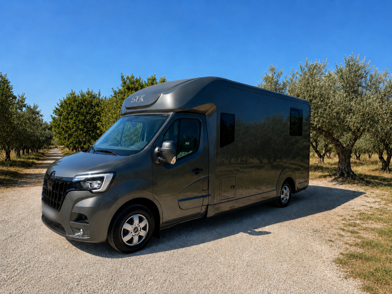 Van per Cavalli STX STX HARAS RALLONGE 2025 Occasione