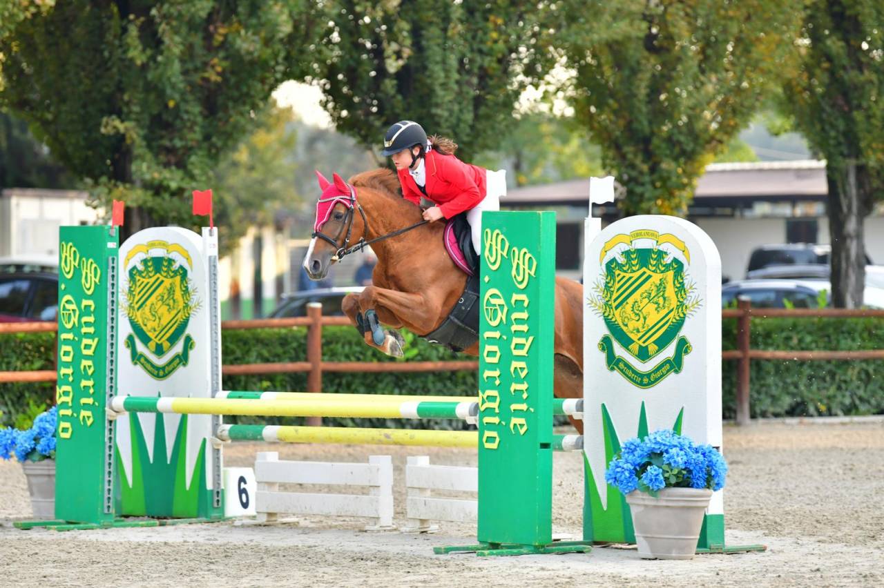 Pony Francese da Sella