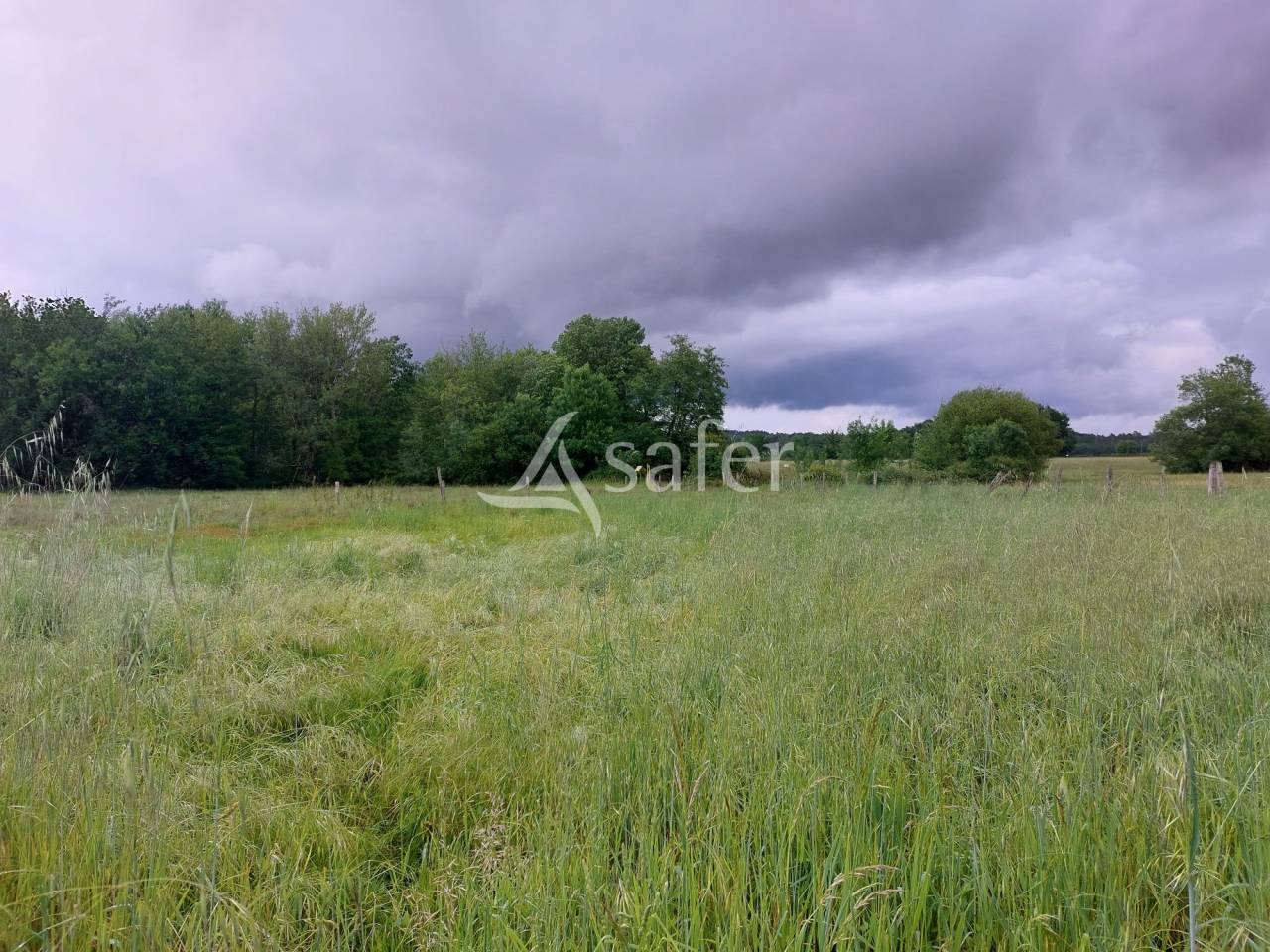 Azienda agricola In vendita Dordogne