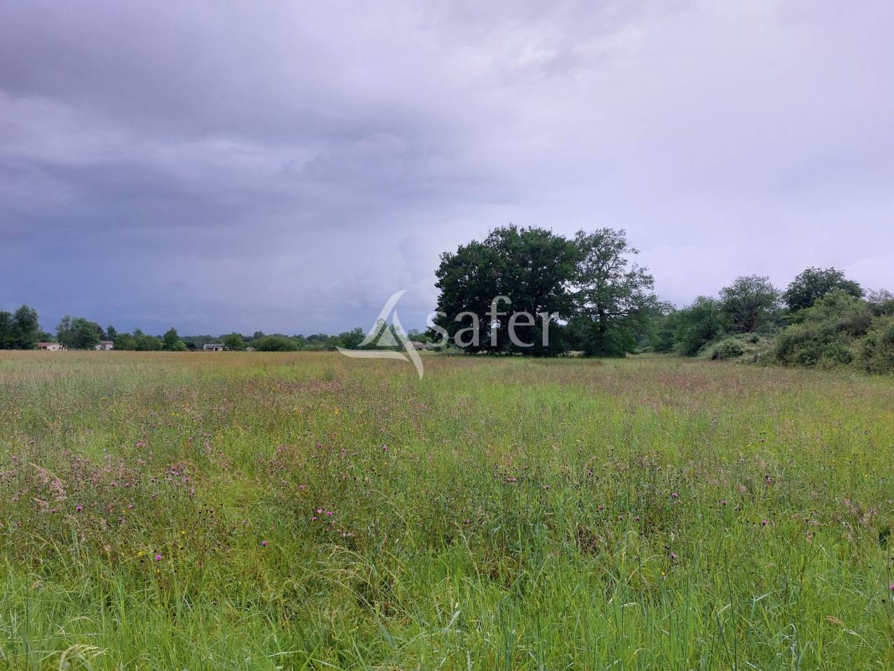 Azienda agricola In vendita Dordogne