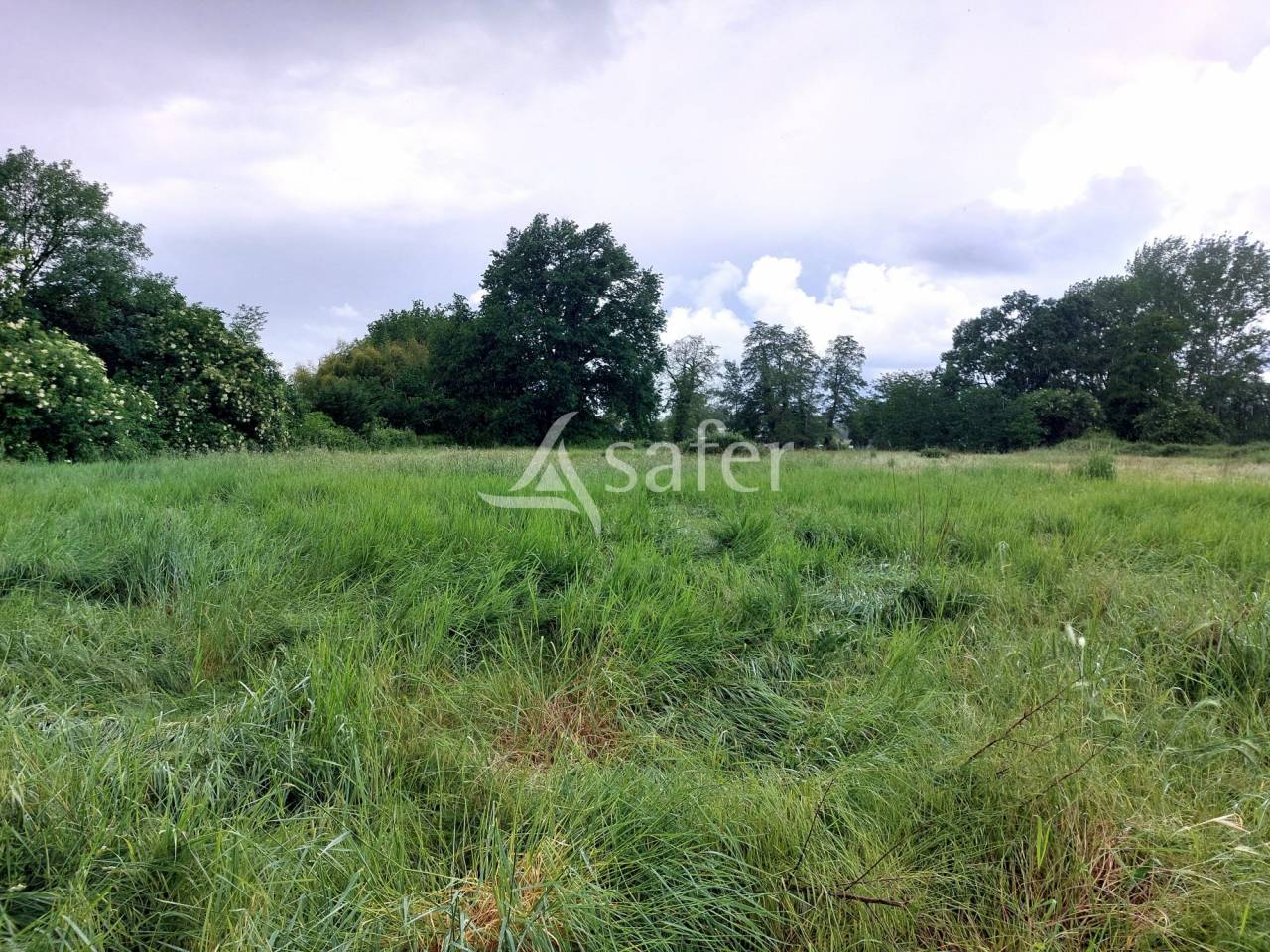 Azienda agricola In vendita Dordogne