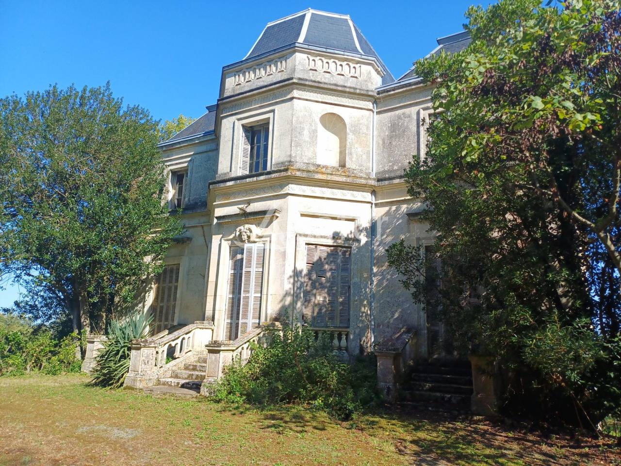 Azienda agricola In vendita Charente-Maritime