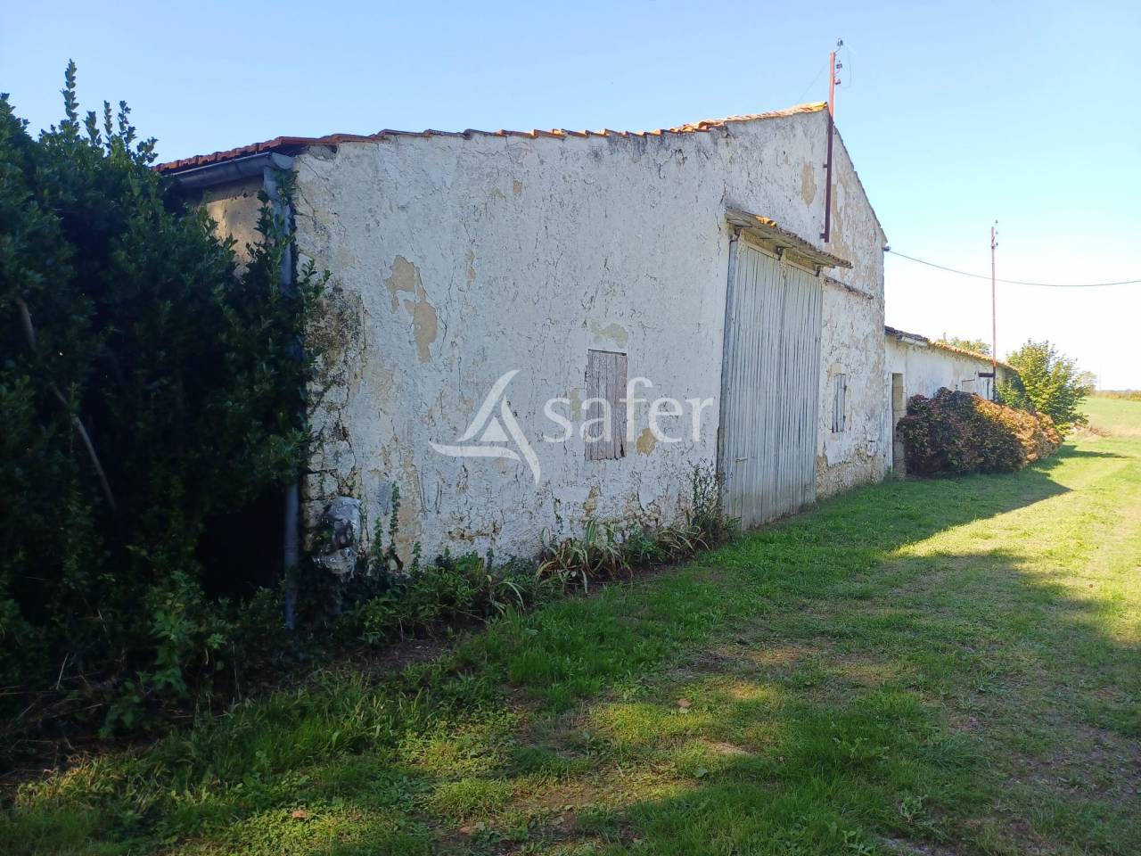 Azienda agricola In vendita Charente-Maritime