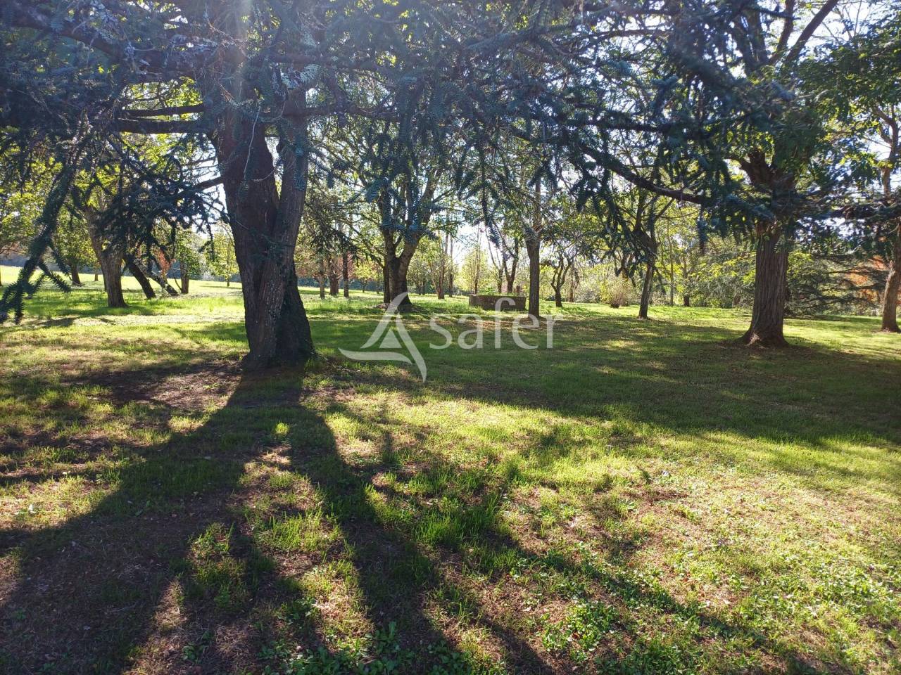 Azienda agricola In vendita Charente-Maritime