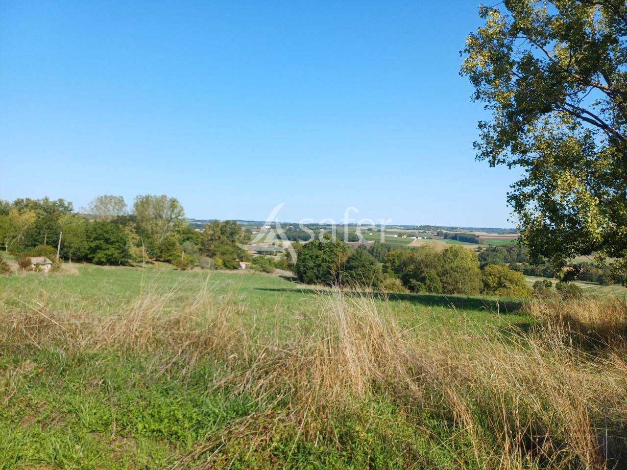 Azienda agricola In vendita Charente-Maritime