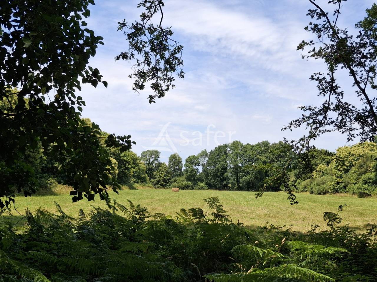 Propriet&agrave; rurale In vendita Loire-Atlantique