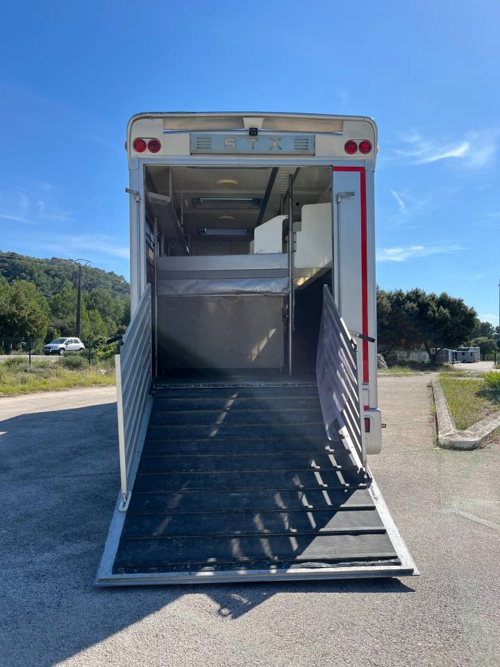 Camion per Cavalli Iveco STX 2008 Occasione