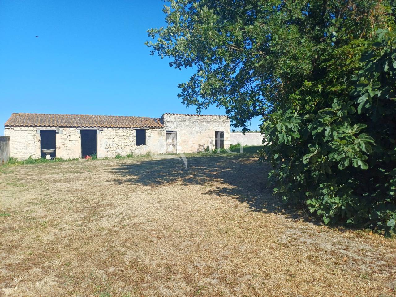 Azienda agricola In vendita Charente-Maritime