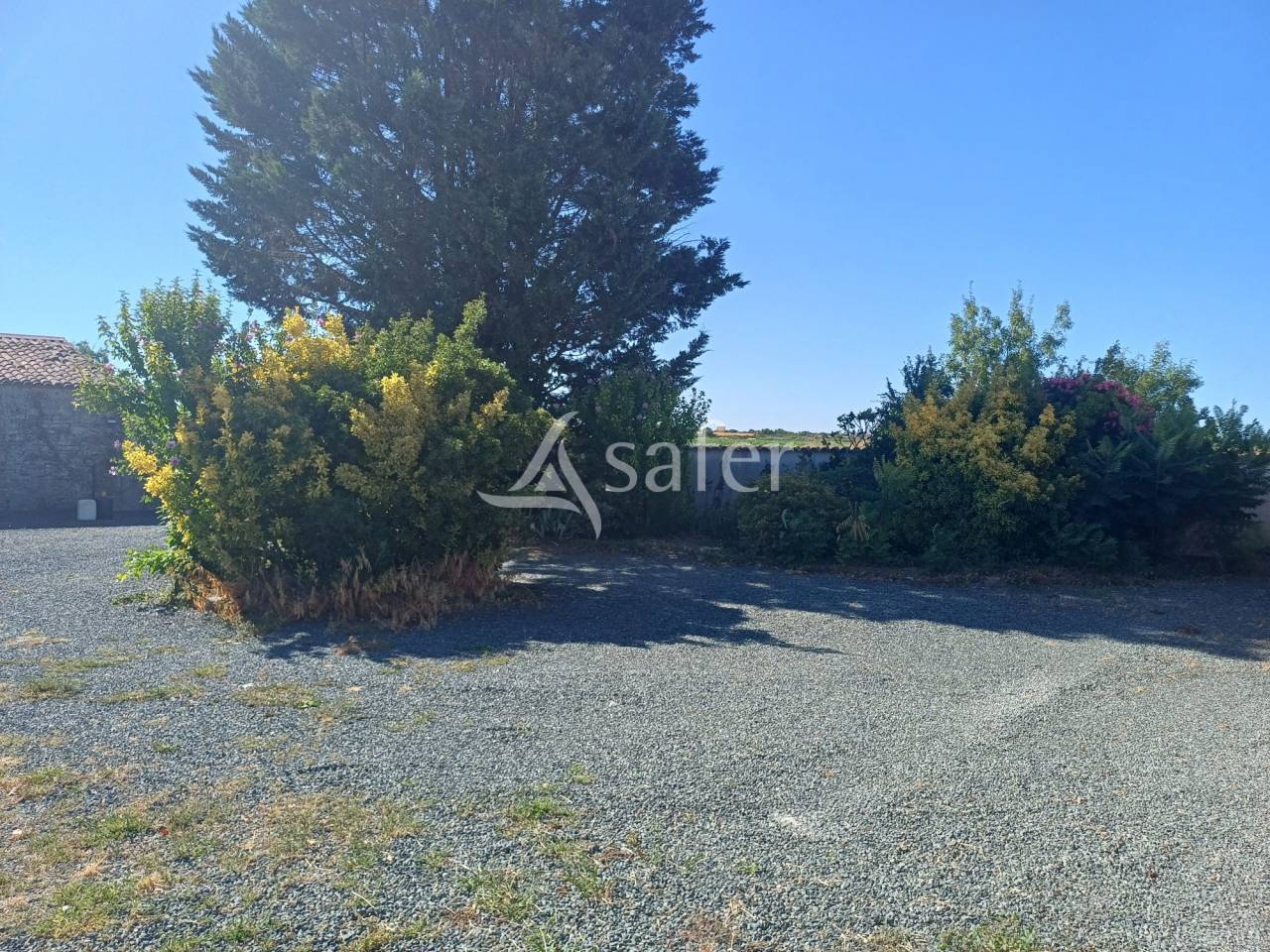 Azienda agricola In vendita Charente-Maritime