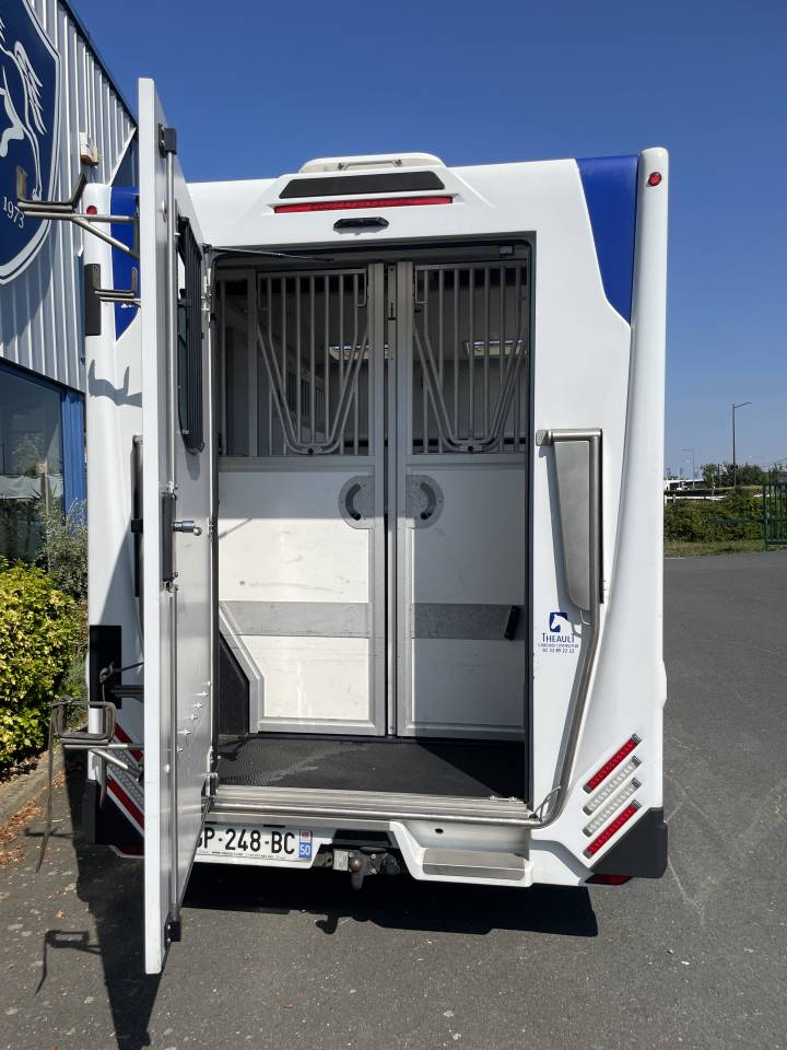 Van per Cavalli Theault master 2023 Occasione