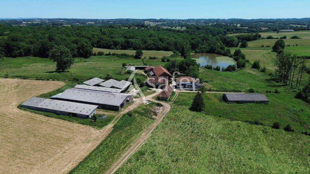 Azienda ovina In vendita Corr&egrave;ze