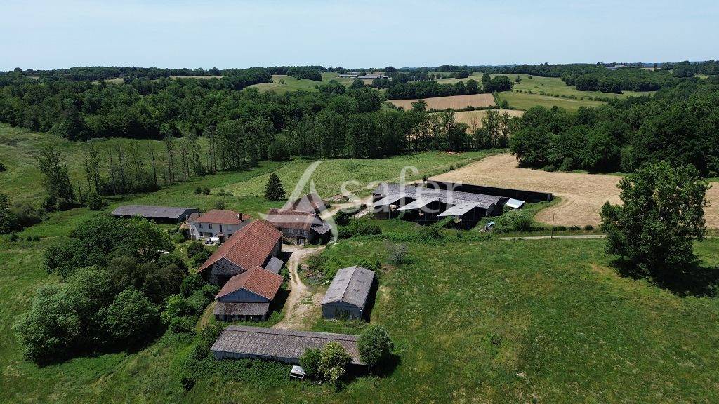 Azienda ovina In vendita Corr&egrave;ze