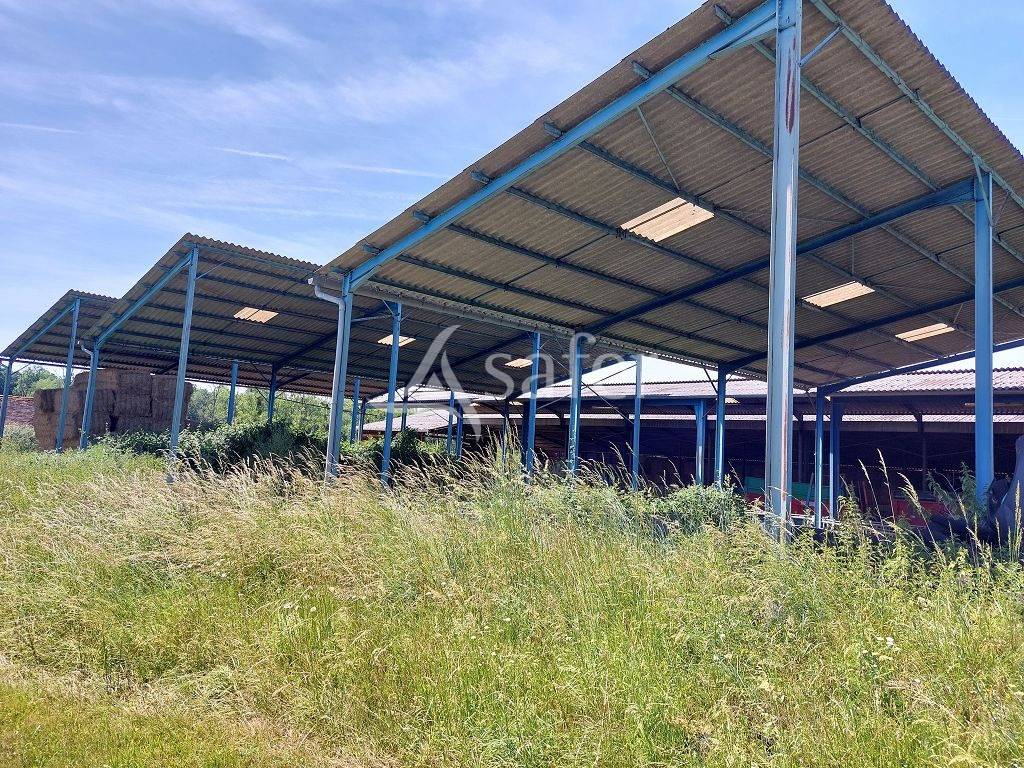 Azienda ovina In vendita Corr&egrave;ze
