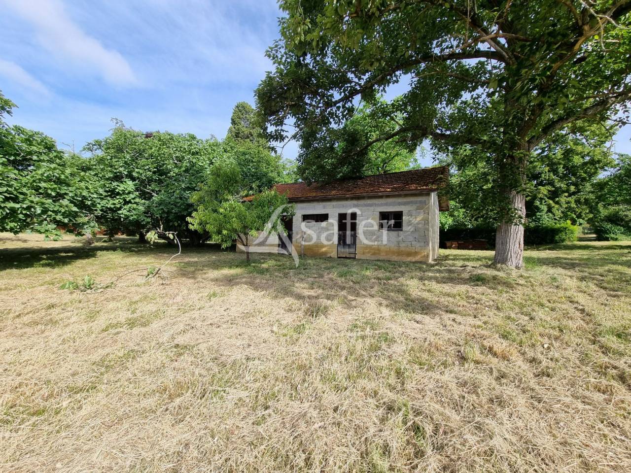 Azienda ovina In vendita Hautes-Pyr&eacute;n&eacute;es
