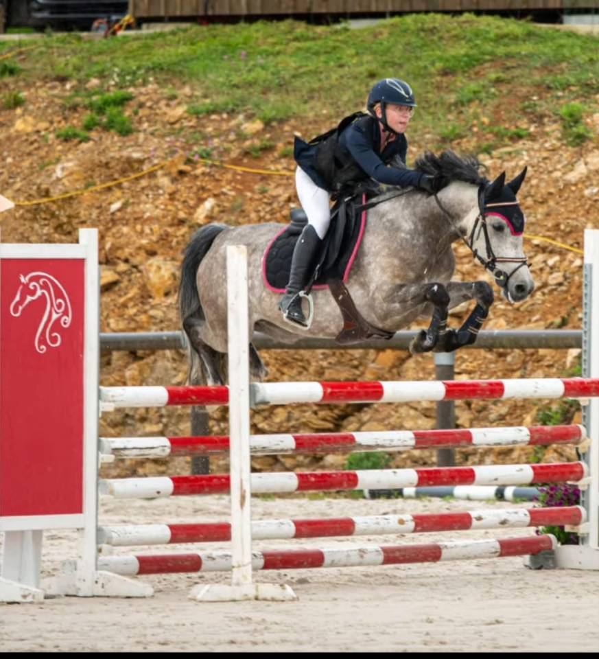 Cavalla PFS Pony Francese da Sella In vendita 2019 Baio ,  Carlson