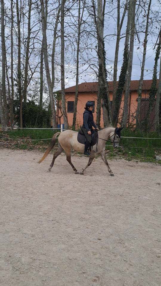 LUCINA, femmina 5 anni