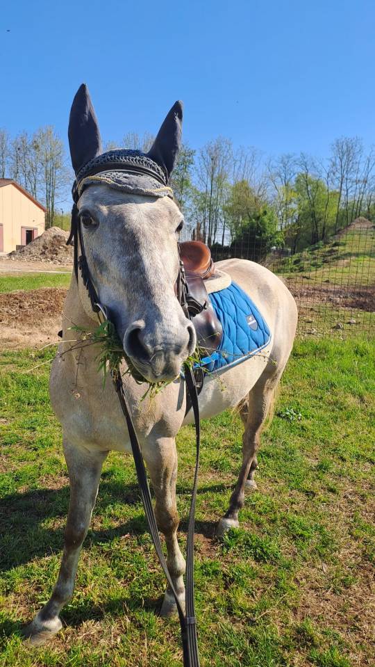 LUCINA, femmina 5 anni