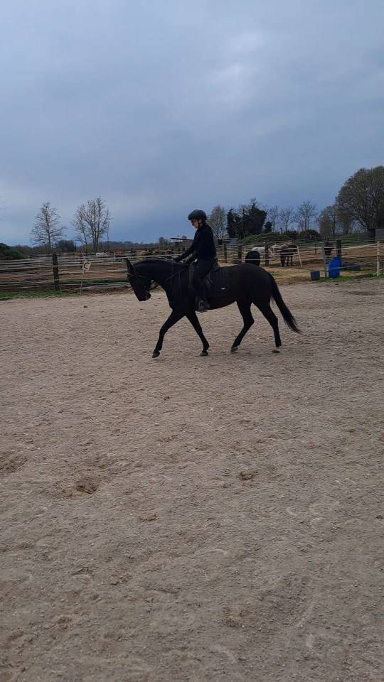 REGINA, femmina 5 anni