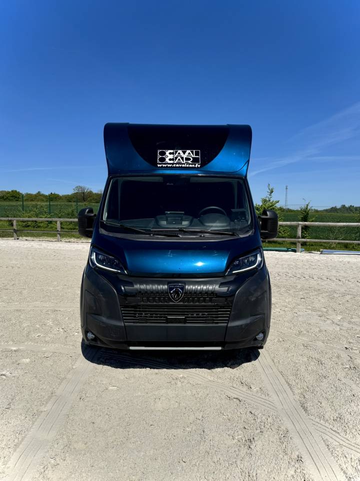 Van per Cavalli Cavalcar Stallium 5 2025 Nuovo