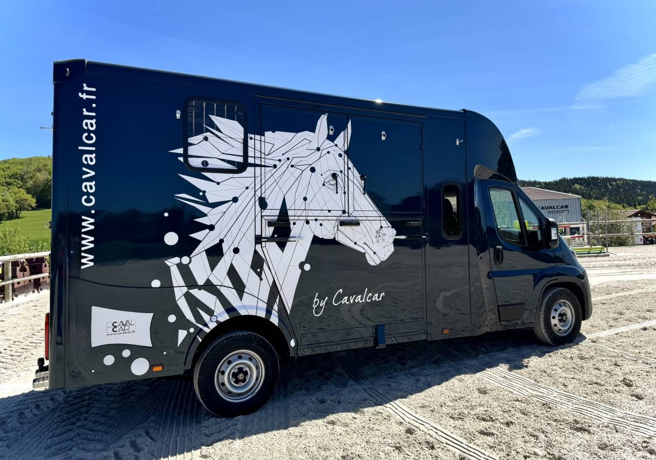 Van per Cavalli Cavalcar Stallium 5 2025 Nuovo