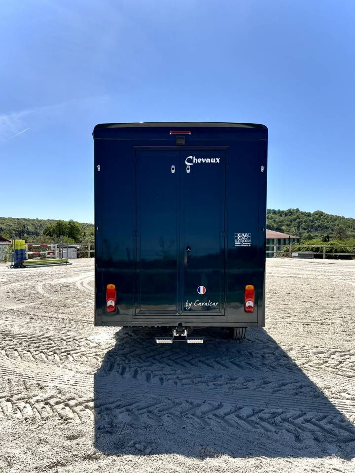 Van per Cavalli Cavalcar Stallium 5 2025 Nuovo
