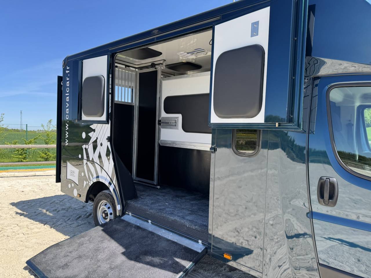 Van per Cavalli Cavalcar Stallium 5 2025 Nuovo