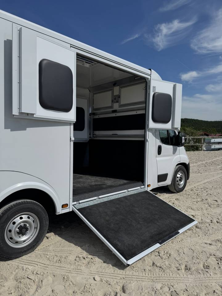 Van per Cavalli Cavalcar Stallium 3 2025 Nuovo