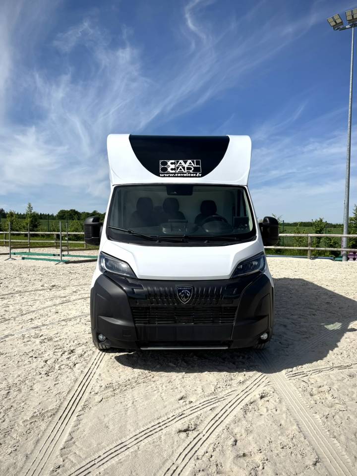 Van per Cavalli Cavalcar Stallium 3 2025 Nuovo