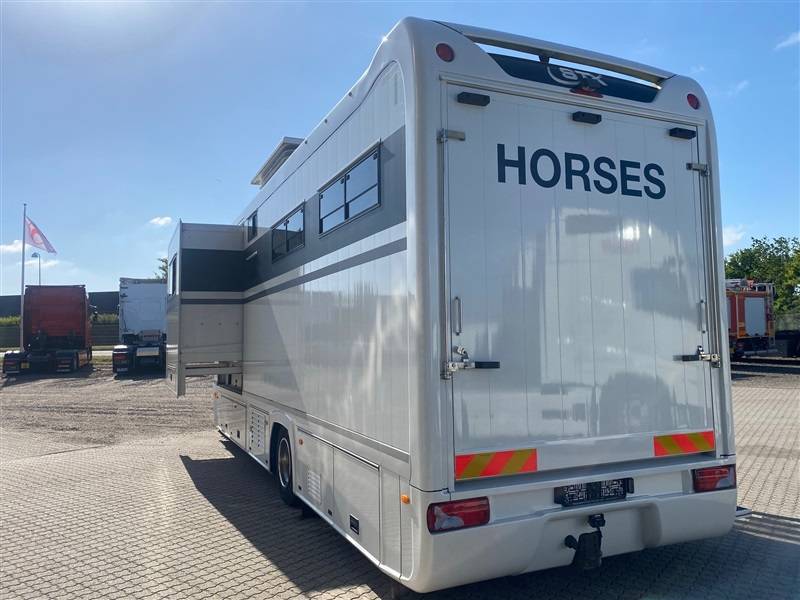 Camion per Cavalli Volvo STX 2014 Occasione