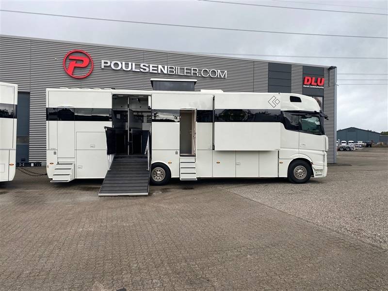 Camion per Cavalli Mercedes ketterer 2020 Occasione