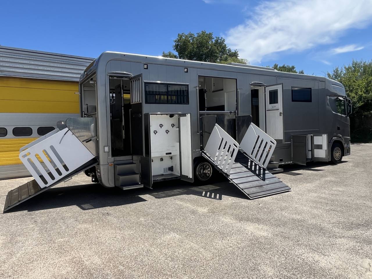 Camion per Cavalli STX  2018 Occasione
