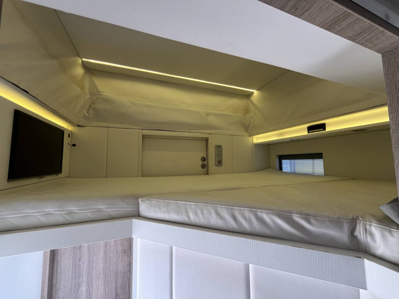 Camion per Cavalli STX  2018 Occasione