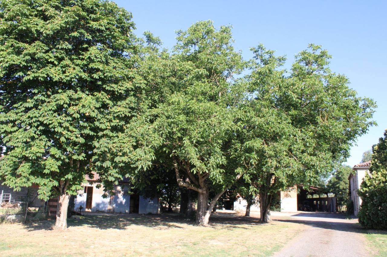 Propriet&agrave; equestre In vendita Tarn-et-Garonne