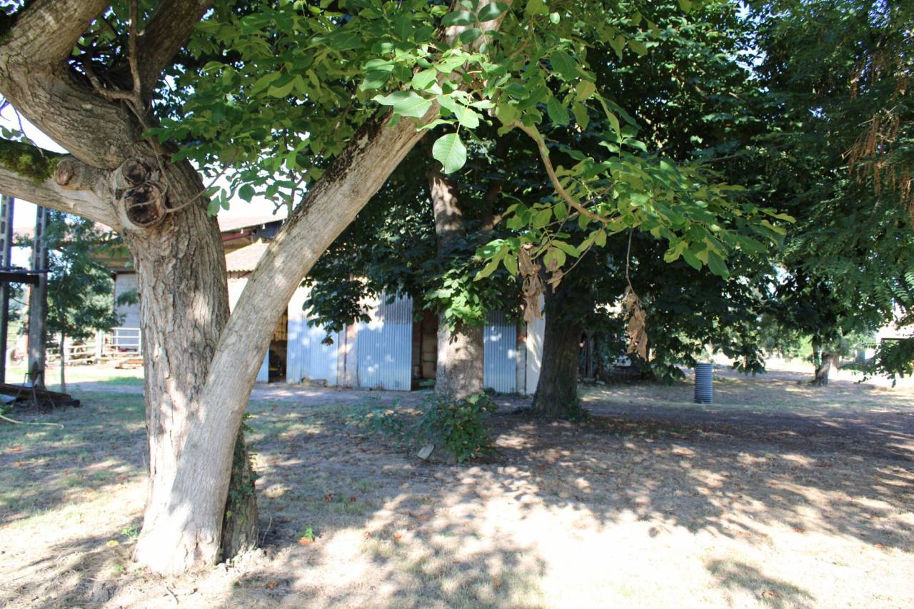 Propriet&agrave; equestre In vendita Tarn-et-Garonne
