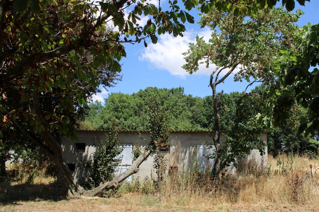 Propriet&agrave; equestre In vendita Haute-Garonne