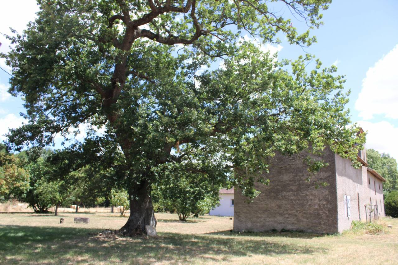 Propriet&agrave; equestre In vendita Haute-Garonne