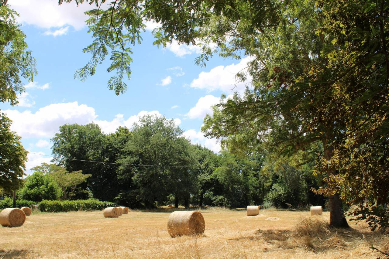 Propriet&agrave; equestre In vendita Haute-Garonne