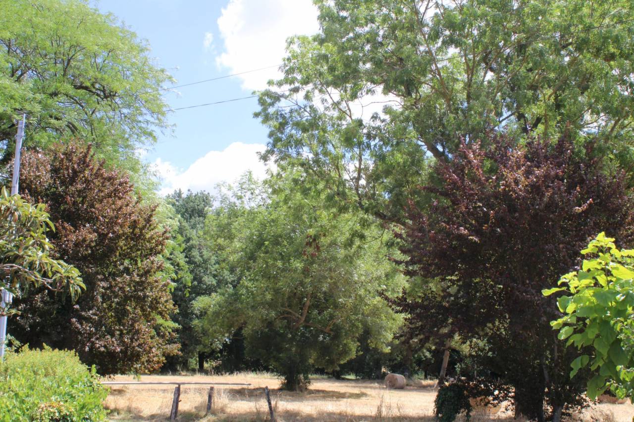 Propriet&agrave; equestre In vendita Haute-Garonne