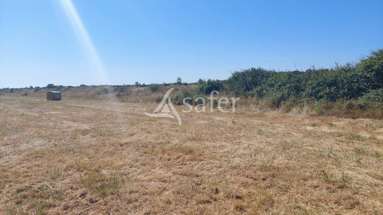Azienda agricola In vendita Charente-Maritime
