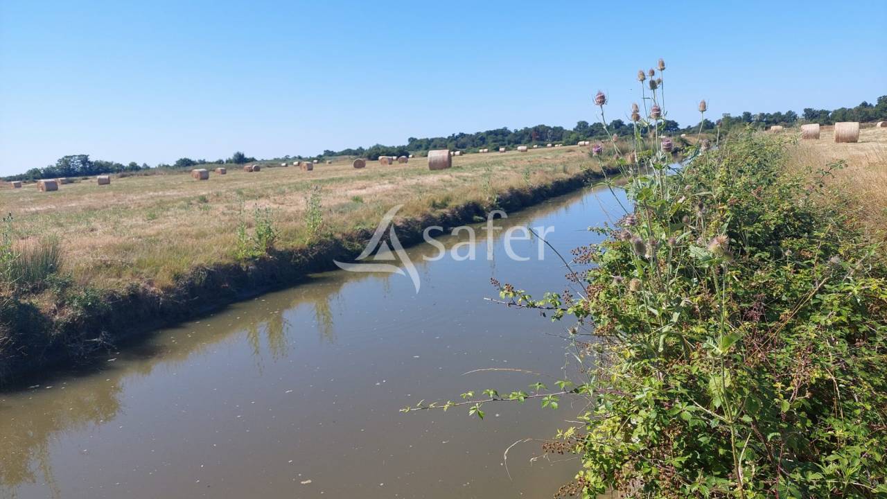 Azienda agricola In vendita Charente-Maritime